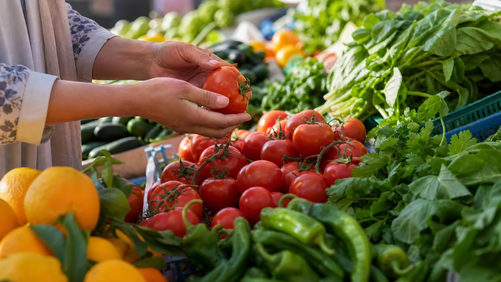 Comment reconnaître des fruits et légumes vraiment frais (guide pour chefs et familles)